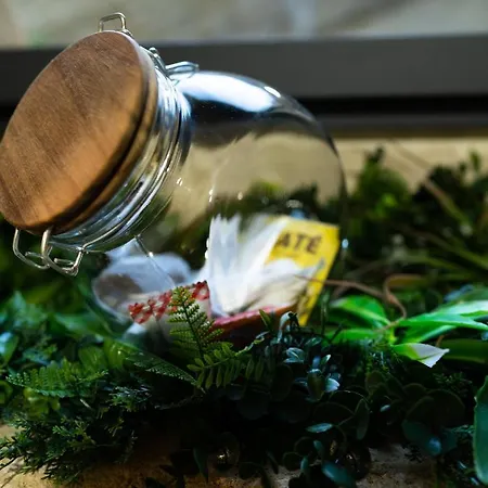 Daire La Falaise Perdue, Troglodyte & Prive