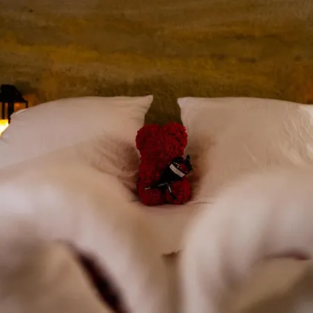 La Falaise Perdue, Troglodyte & Prive Doué-la-Fontaine